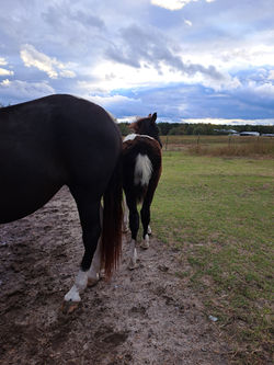 3Forrest Oct 30, 2025