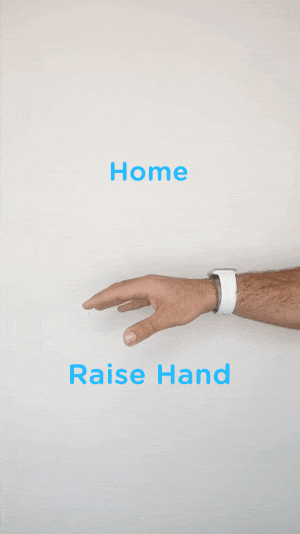 home-gif.gif