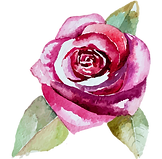 Rose 2