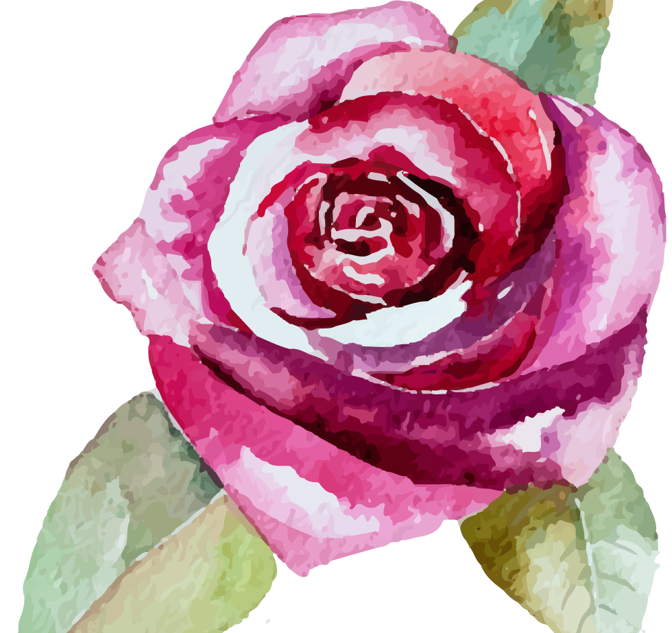 Rose 2