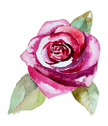 Rose 2