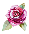Weddings at 911 Charles Street Fredericksburg Virginia
