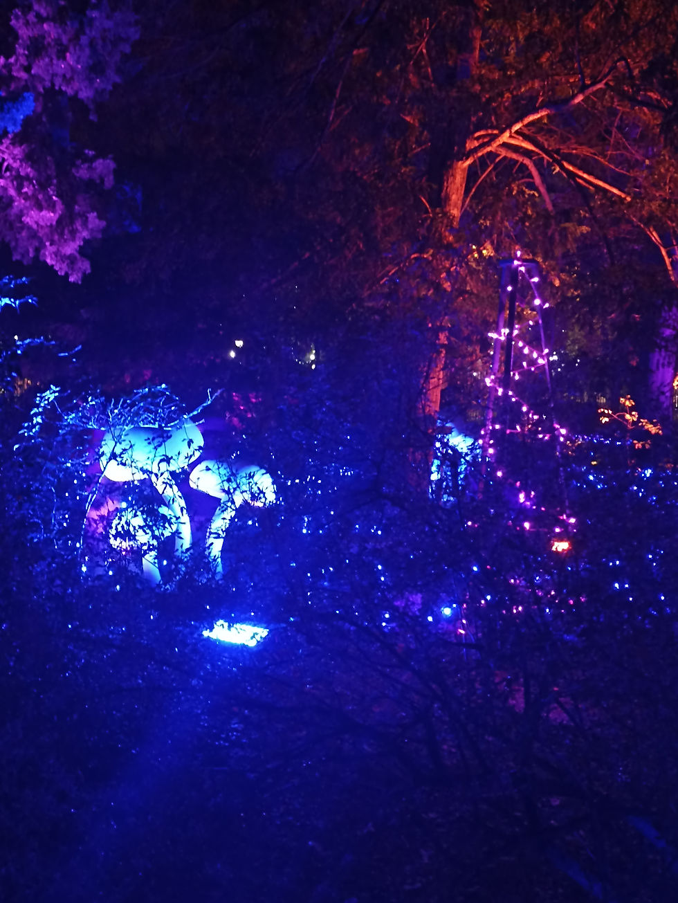 Naturaleza Encendida
