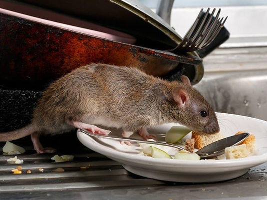 The News You Might Have Missed This Week