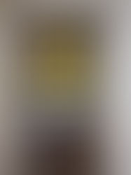 The News You Might Have Missed This Week