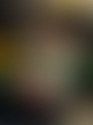 The most interesting Christmas sandwiches in Dublin right now - 2025