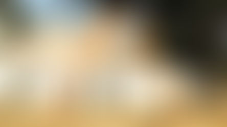 What Not to Miss at Electric Picnic's Theatre of Food