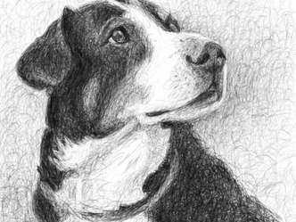 Di 10 feb - Vr 01 mei |'t Paradies - Expositie Giel Derks Illustraties