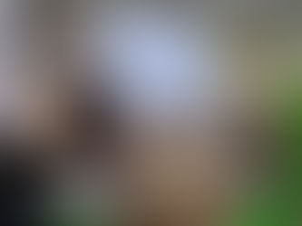 Intervenção sobre o Sistema Cardiovascular