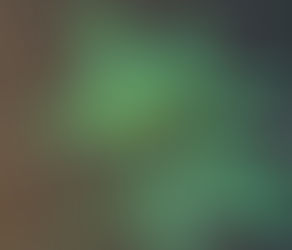 Explorando los Componentes del Cannabis en Nuestros Vapes