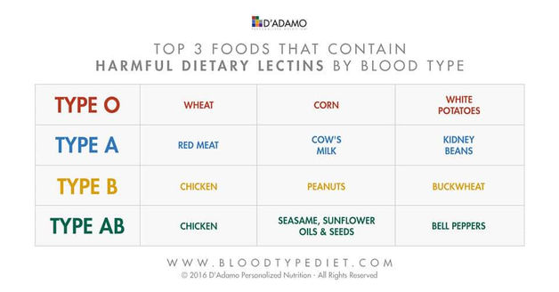 Blood Type Diet And Exercises For Healthy Joints