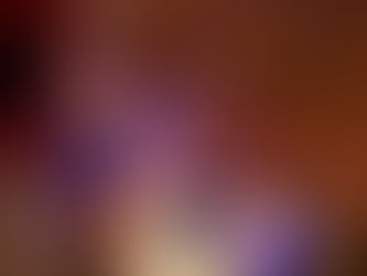 wrapped up in Christmas spirit