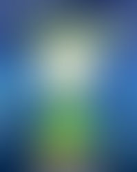 Crescent City Christmas Chaos by Ellen Byron