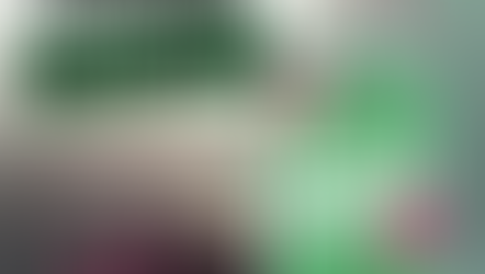 Goodreads Giveaway book 3 Nun the Wiser Mystery A Fatal Habit by Melissa Westemeier