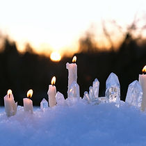 shutterstock_2233749565 (1).jpg