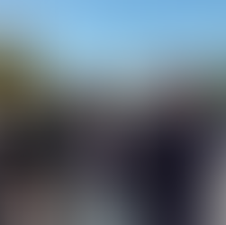 Mayor Gillingham's Gamble: What Does It Mean for Winnipeg's Future