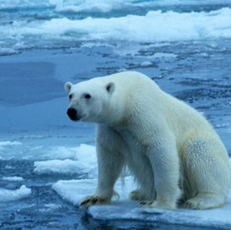 Minister Klein Says Manitoba is Poised to Achieve First Greenhouse-Gas Emissions Reduction Target