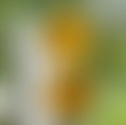 The Steps Necessary to Address Speeds On Your Street