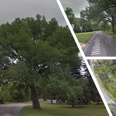 Wellington Riverbank Update June 28th