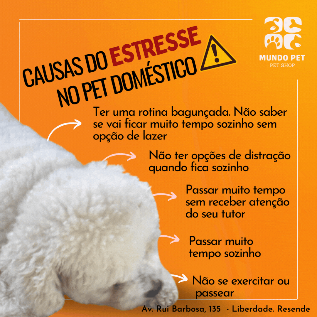 Posts Mundo pet semana 1.gif