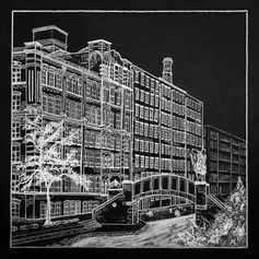 Illustrations of Mexican free-tailed bats (Tadarida brasiliensis) in the city of Manchester, England.