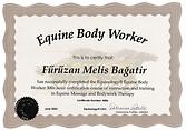 FMB_EQ100.jpg