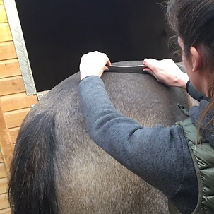 Screenshot 2026-01-20 at 14.54.55.png