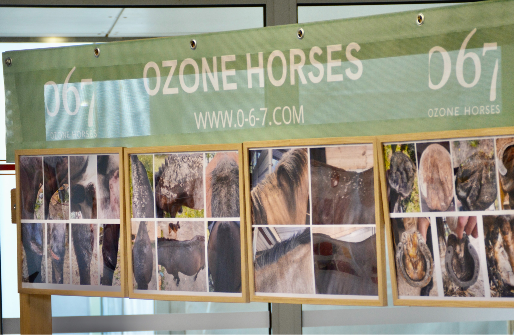 Les produits à l'ozone expliqués