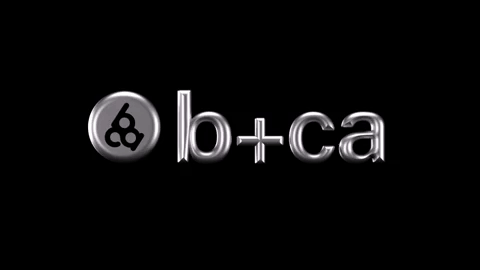 b+ca logo 3D