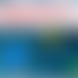 Hugh Styles Coaches Sailing Decision Making week days 1200 BST