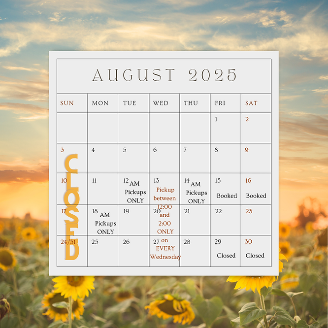 Pastel Simple Aesthetic Minimalist August 2023 Calendar Instagram Post.png