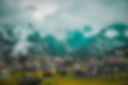 pexels-omid-visuals-4159867.jpg
