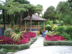 Tropical landscape