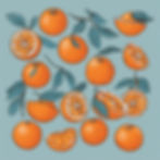 oranges with a grey_blue background.jpg