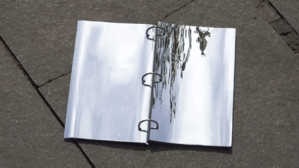 Video_20210416_115048_392.gif