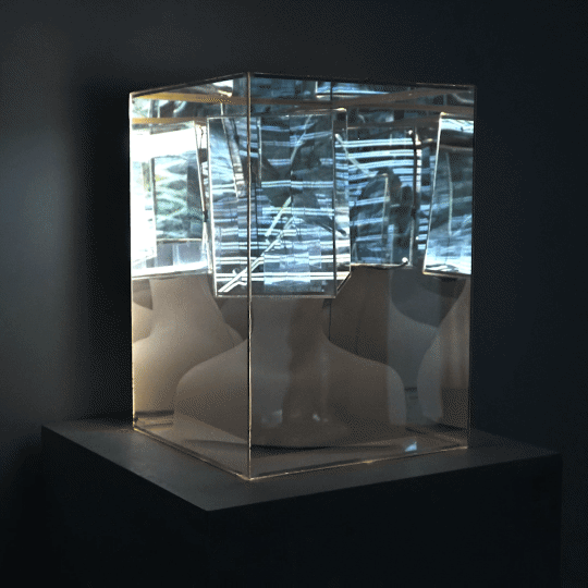 Video_20210505_110802_853.gif