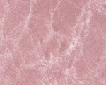Ctol_icon52.jpg