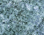 Ctol_icon64.jpg