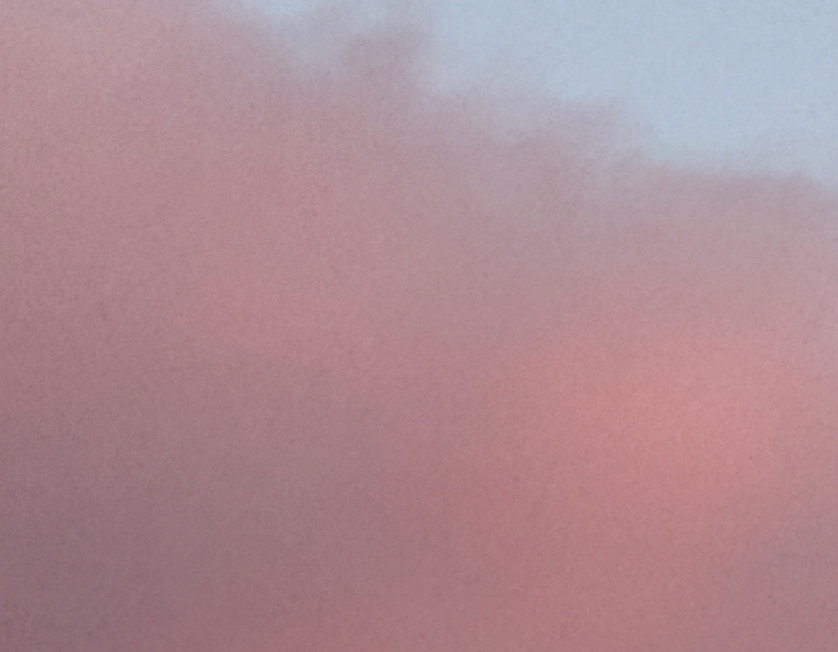 IMG_5435.jpeg