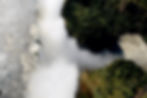 Victoria falls