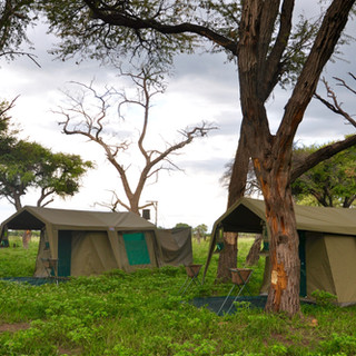 Camp