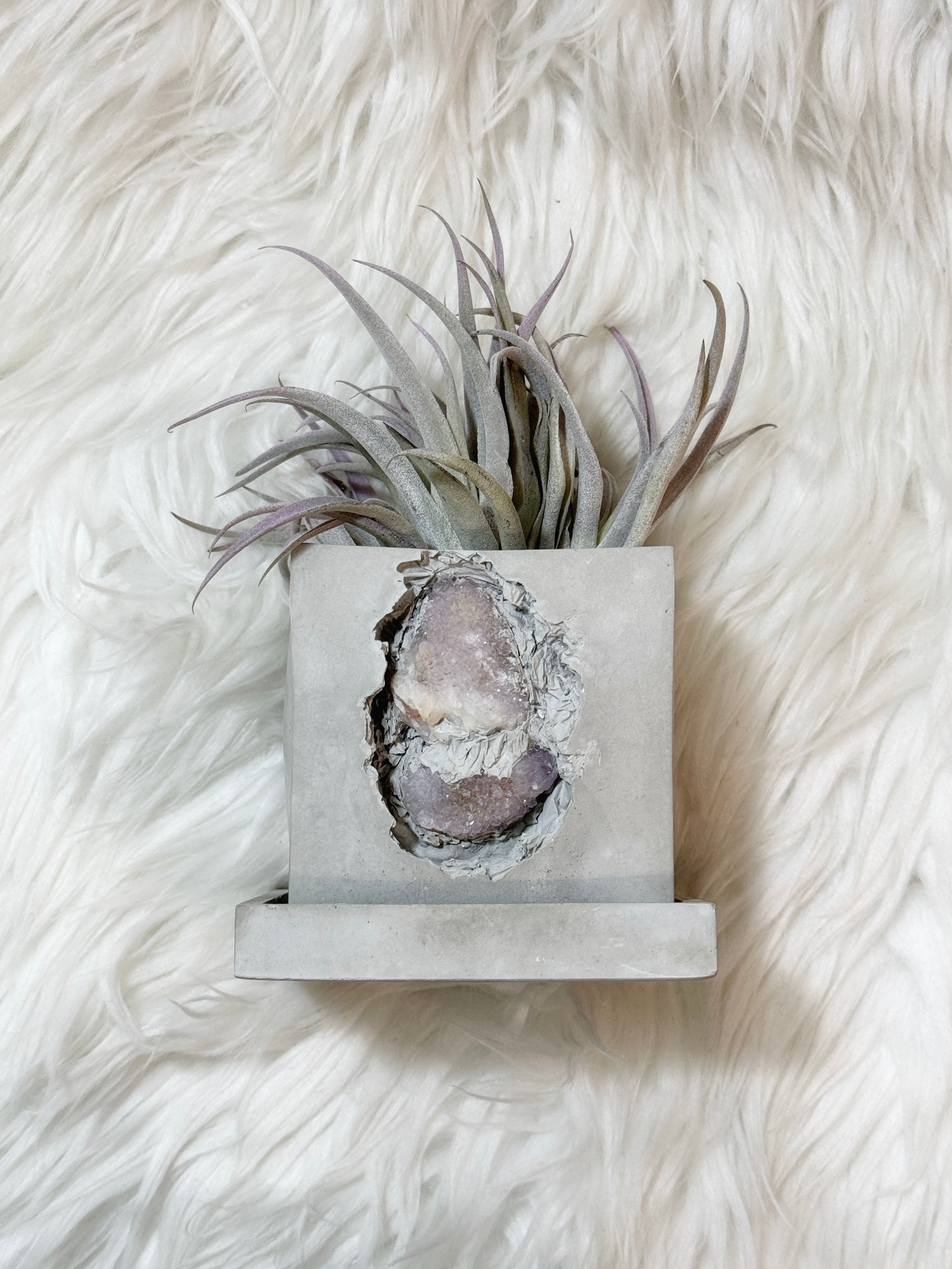 Spirit Amethyst Square Concrete Planter