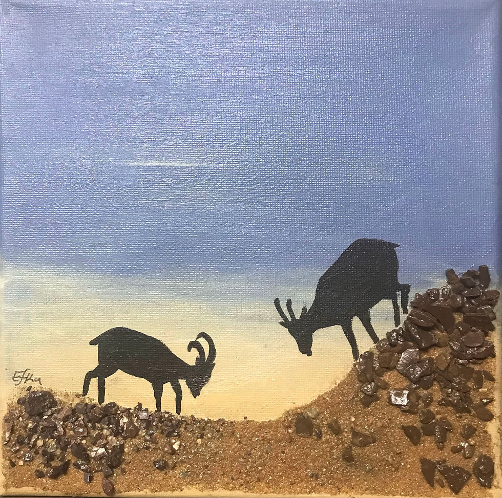 תמונה ממוזערת: יעלים בשילוב חול צבעוני | Ibex with colored sand