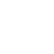 Security Manager