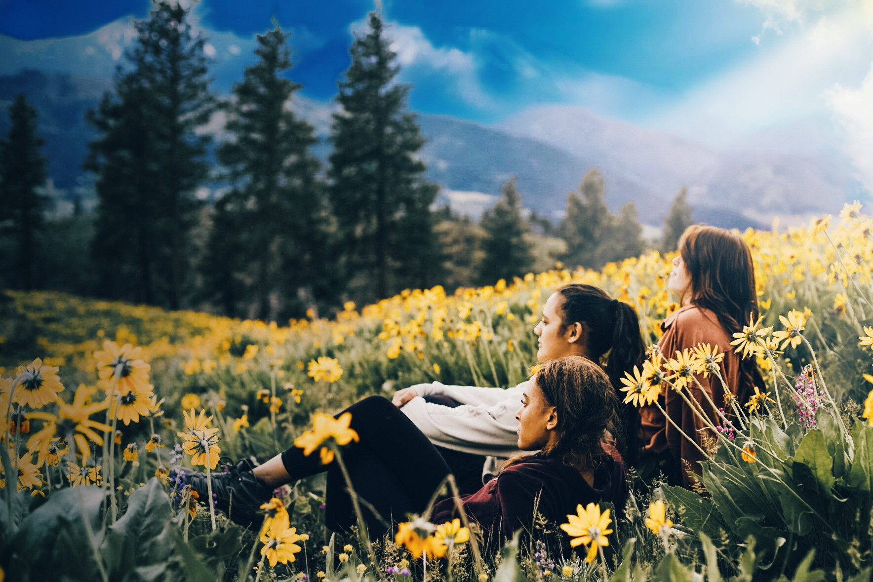 Mountain View Women's Health | Free-of-charge Healthcare ... — OB-GYN clinic in Wenatchee, WA