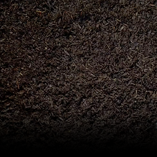 Compost (1).png