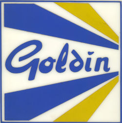 goldin.jpg