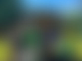 Guapi: un viaje al corazón del Pacífico colombiano