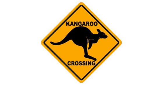 Watson’s Corners- Kangaroo Capital of Canada by Ian Tamblyn