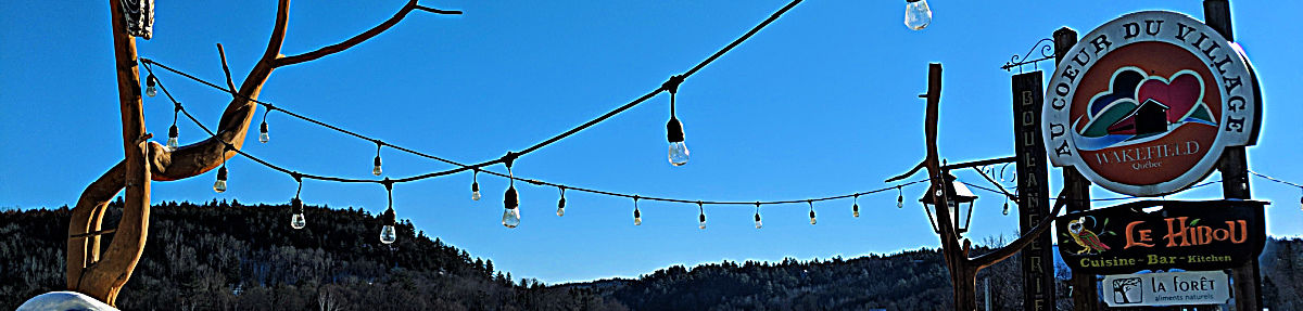 Winter_OWL Facebook Cover.jpg